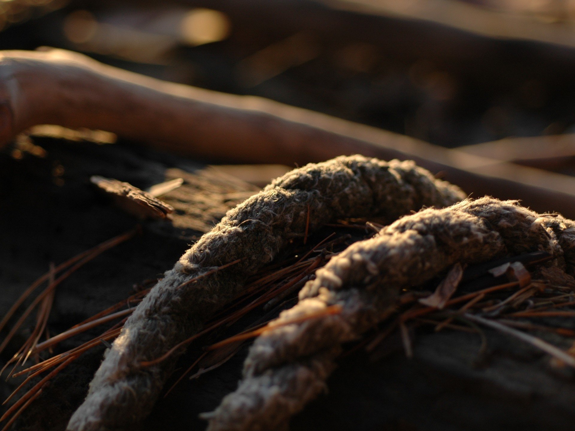 rope grass stick