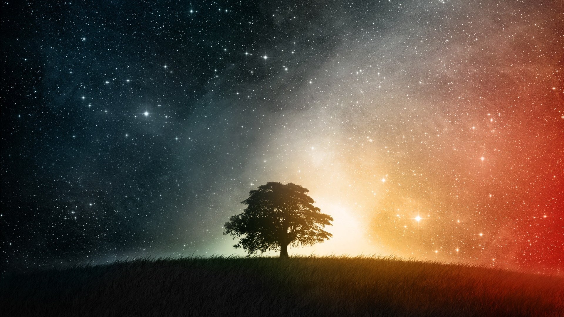 the night sky stars tree grass lonely tree night bright light nature