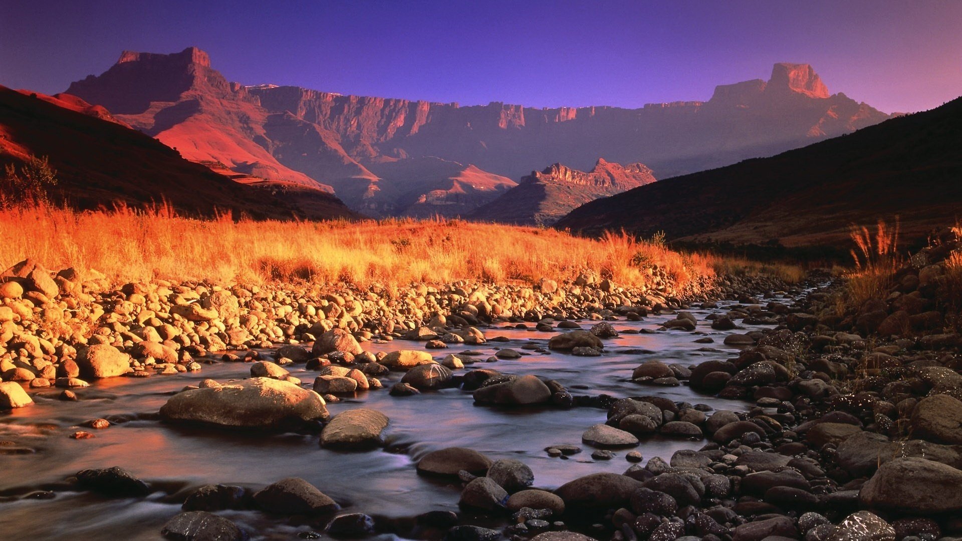 golden grass light stream mountains stones lilac sky current water rocks landscape landscape