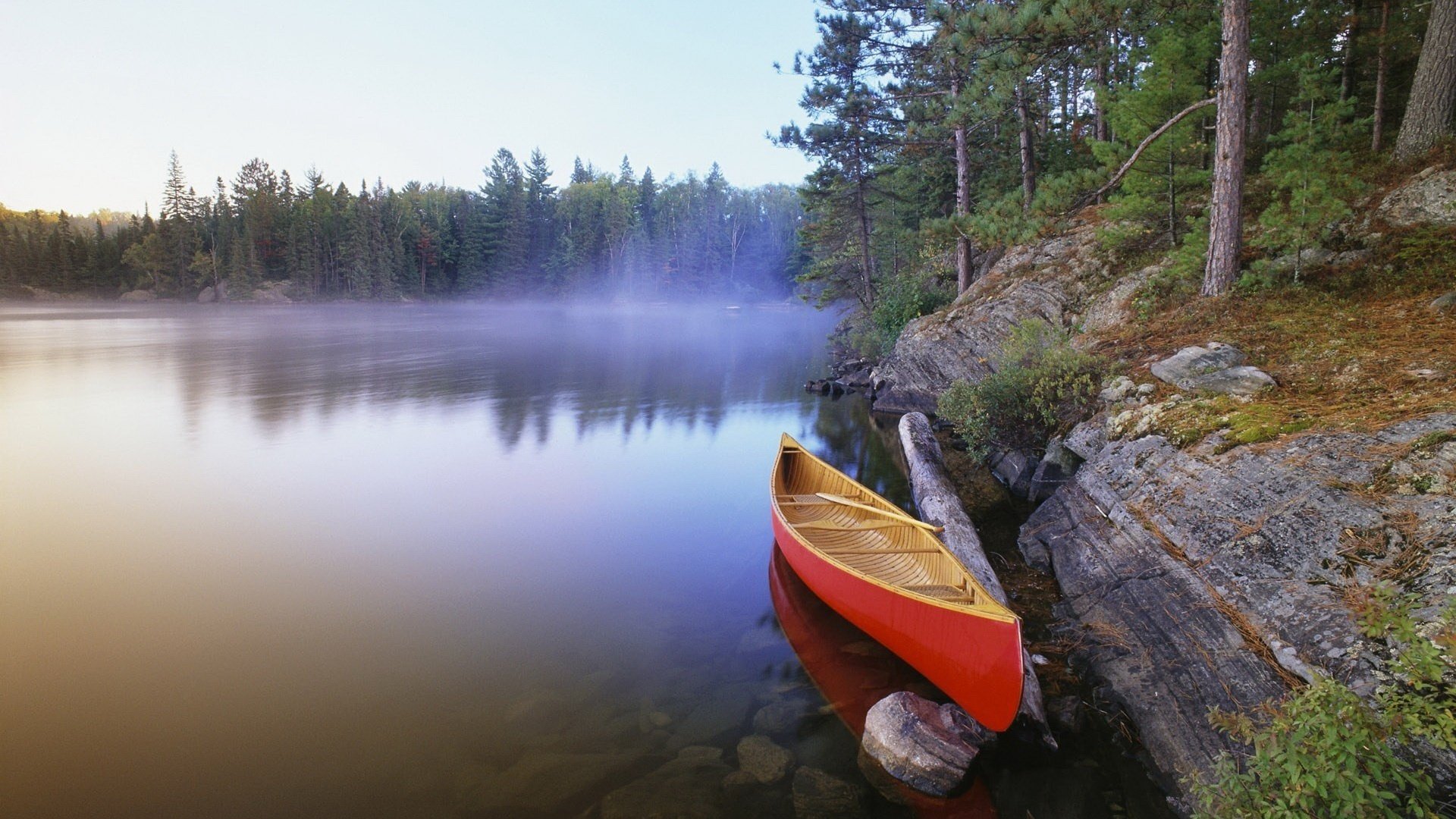 bateau au bord de la mer brouillard du matin calme forêt rivière fraîcheur côte sapins arbres brouillard