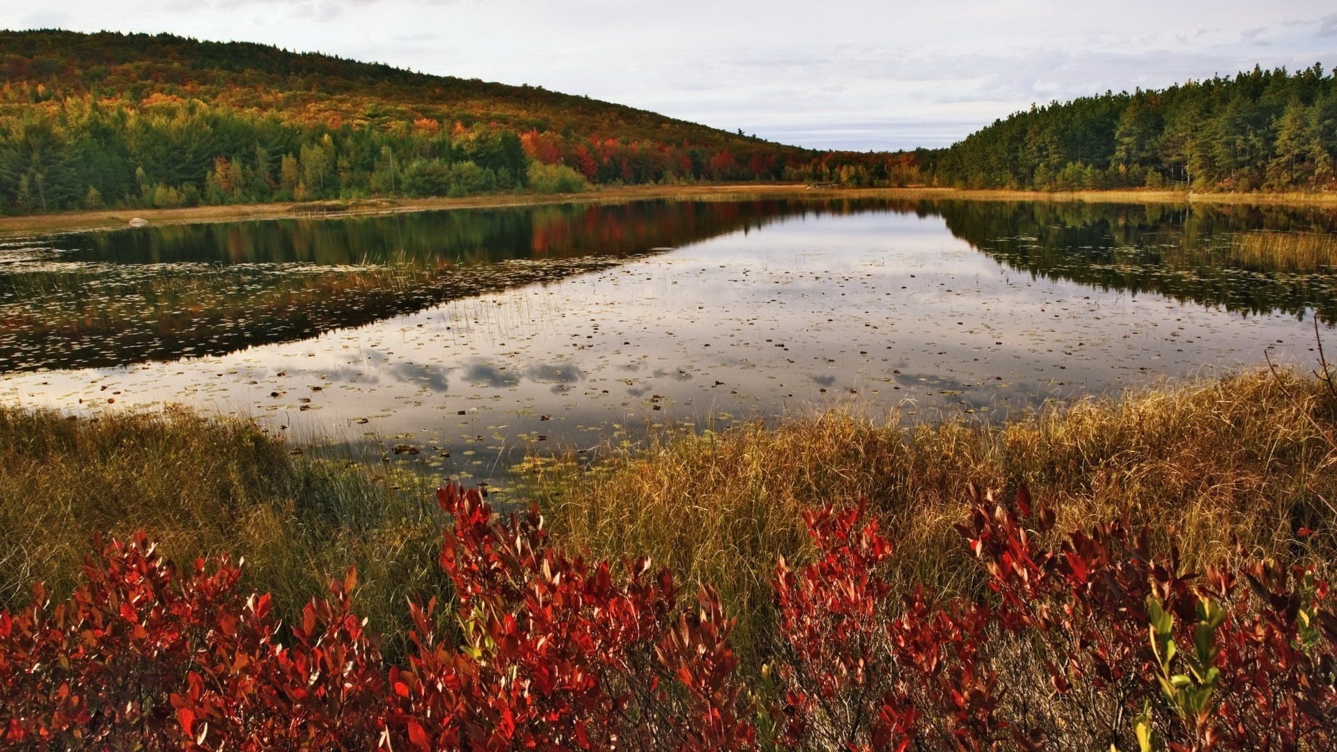 bord du lac feuillage sur l eau feuilles rouges automne montagnes lac forêt beauté couleurs d automne réflexion ciel