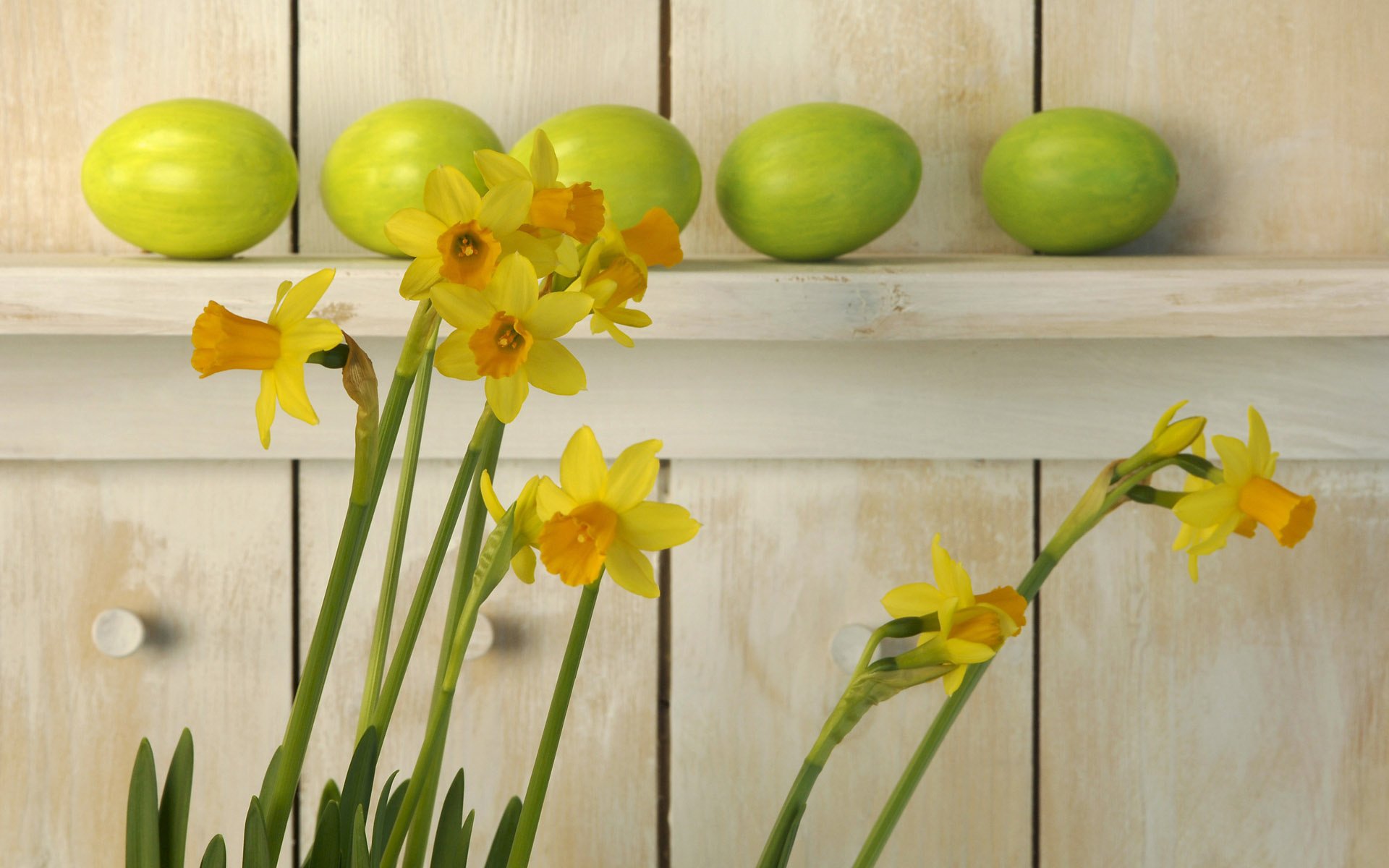 étagère testicules jonquilles pâques