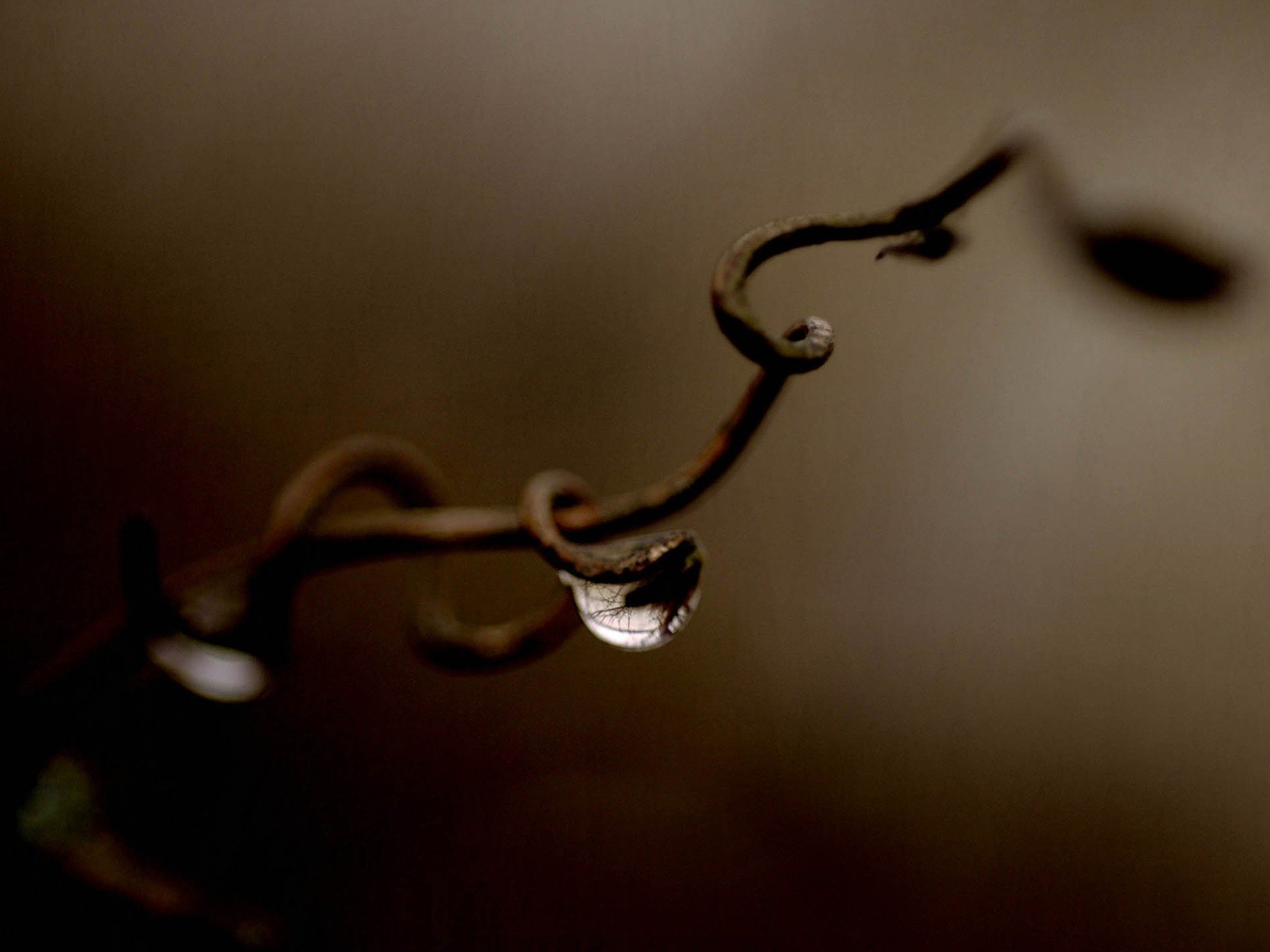 bordo filato filo gocciolina di acqua