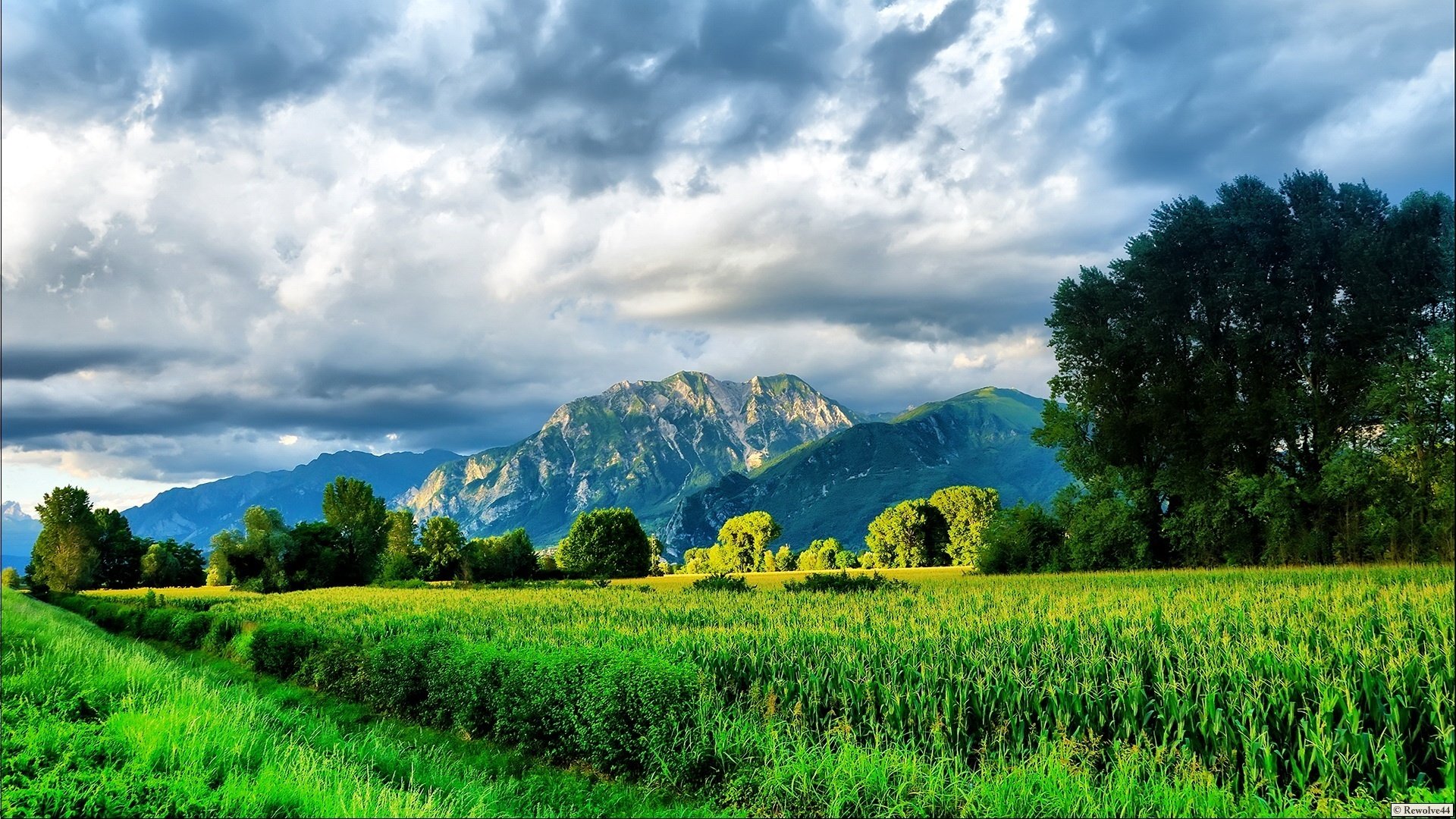 colori vivaci natura artista montagne verde erba cespugli alberi cielo nuvole nuvole pulizia campo