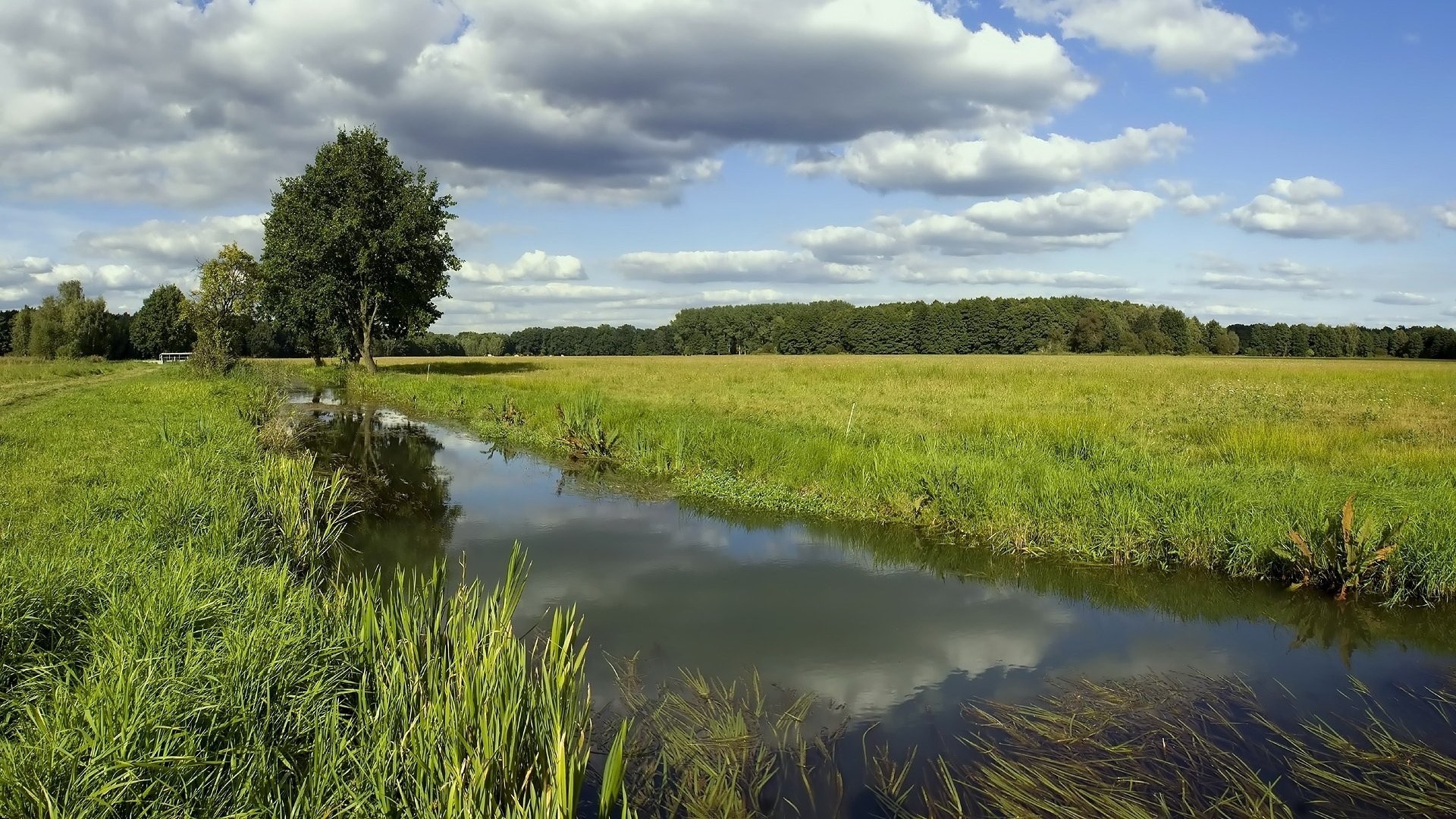 bergfluss grasbewachsene ufer wolken himmel feld flüsse