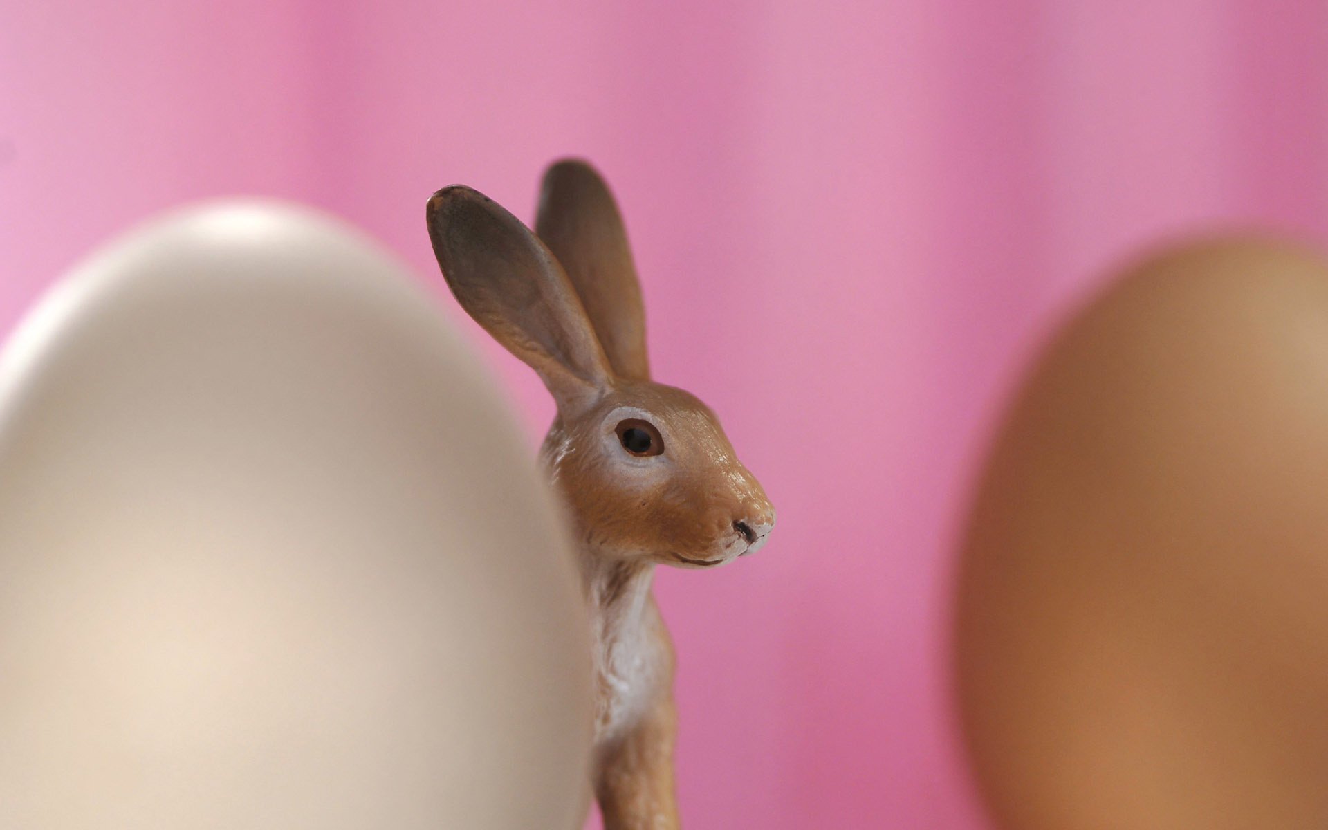 rotes kaninchen hoden ostern