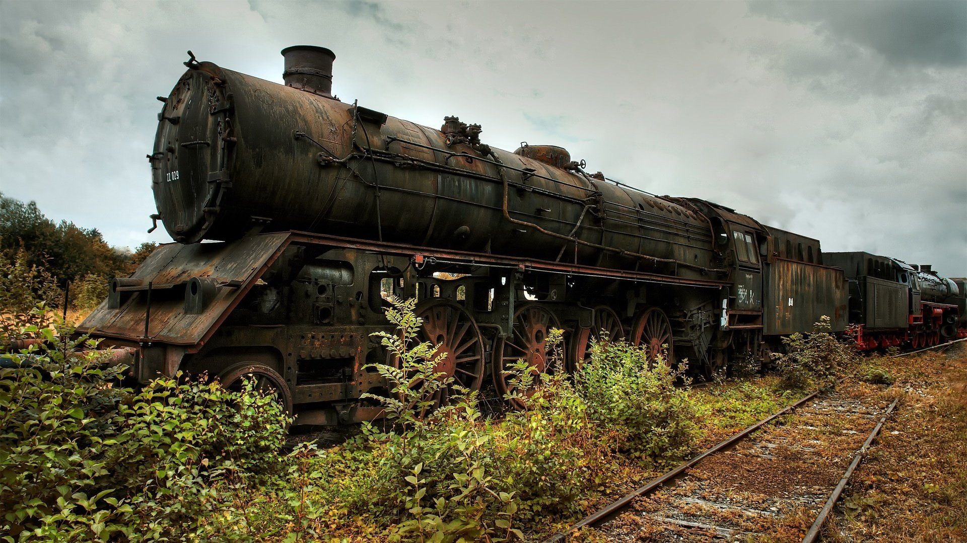 vecchio treno scafo scuro rotaie invase trasporto carro cespugli nuvole cielo grigio boschetti rarità