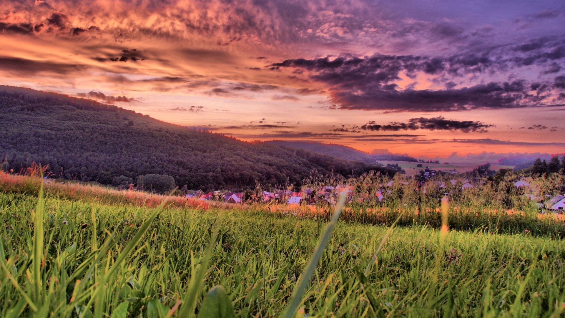 pink sunset green grass houses sunset mountains field