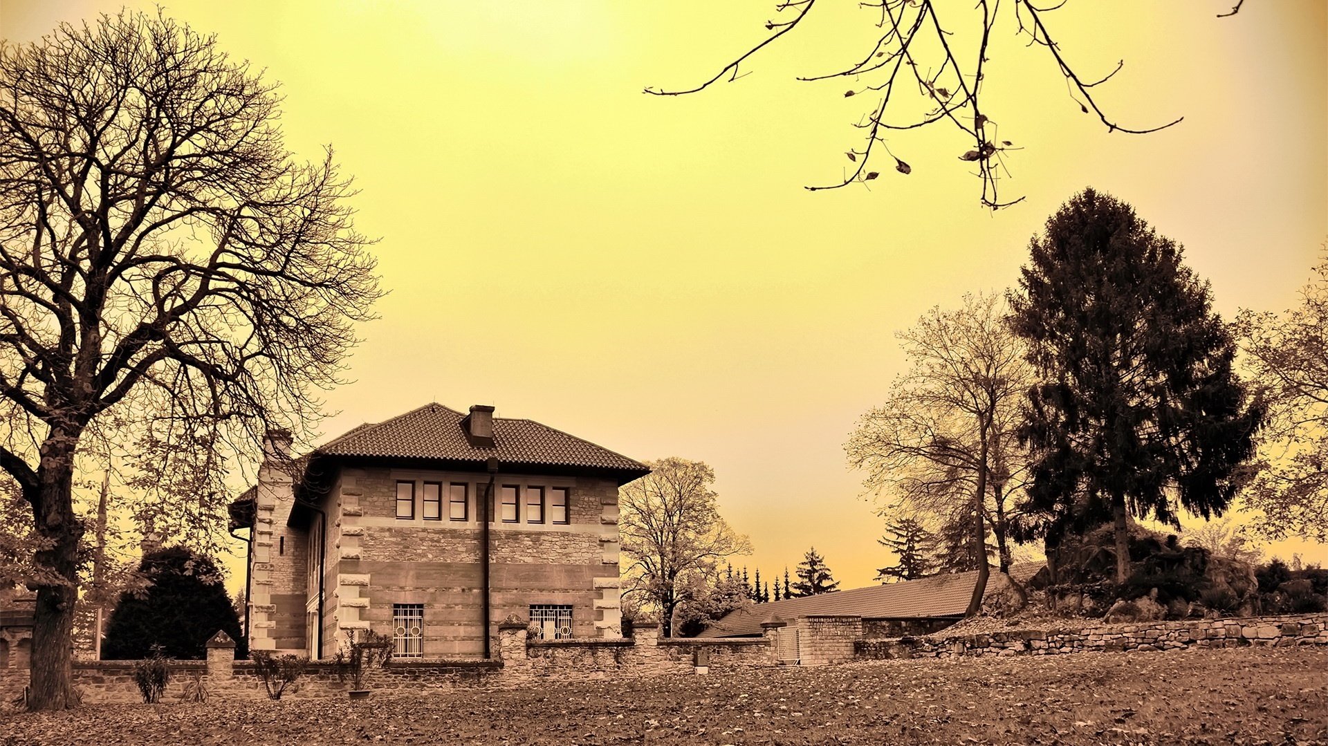 cielo giallo mattina fresco casa case alberi rami natura