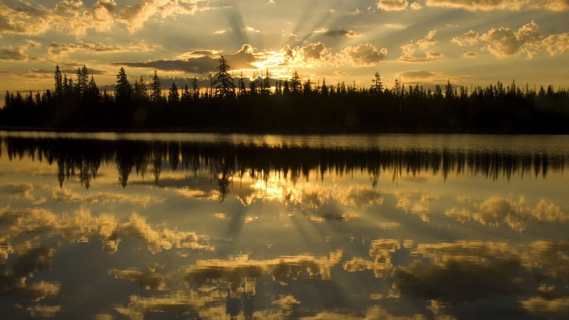 côte avec des arbres de noël lueur rayons lac coucher de soleil eau