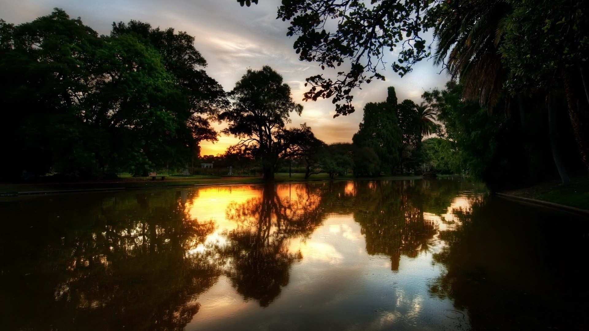 luz roja sol espejo de la naturaleza árboles puesta de sol agua parque reflexión noche naturaleza