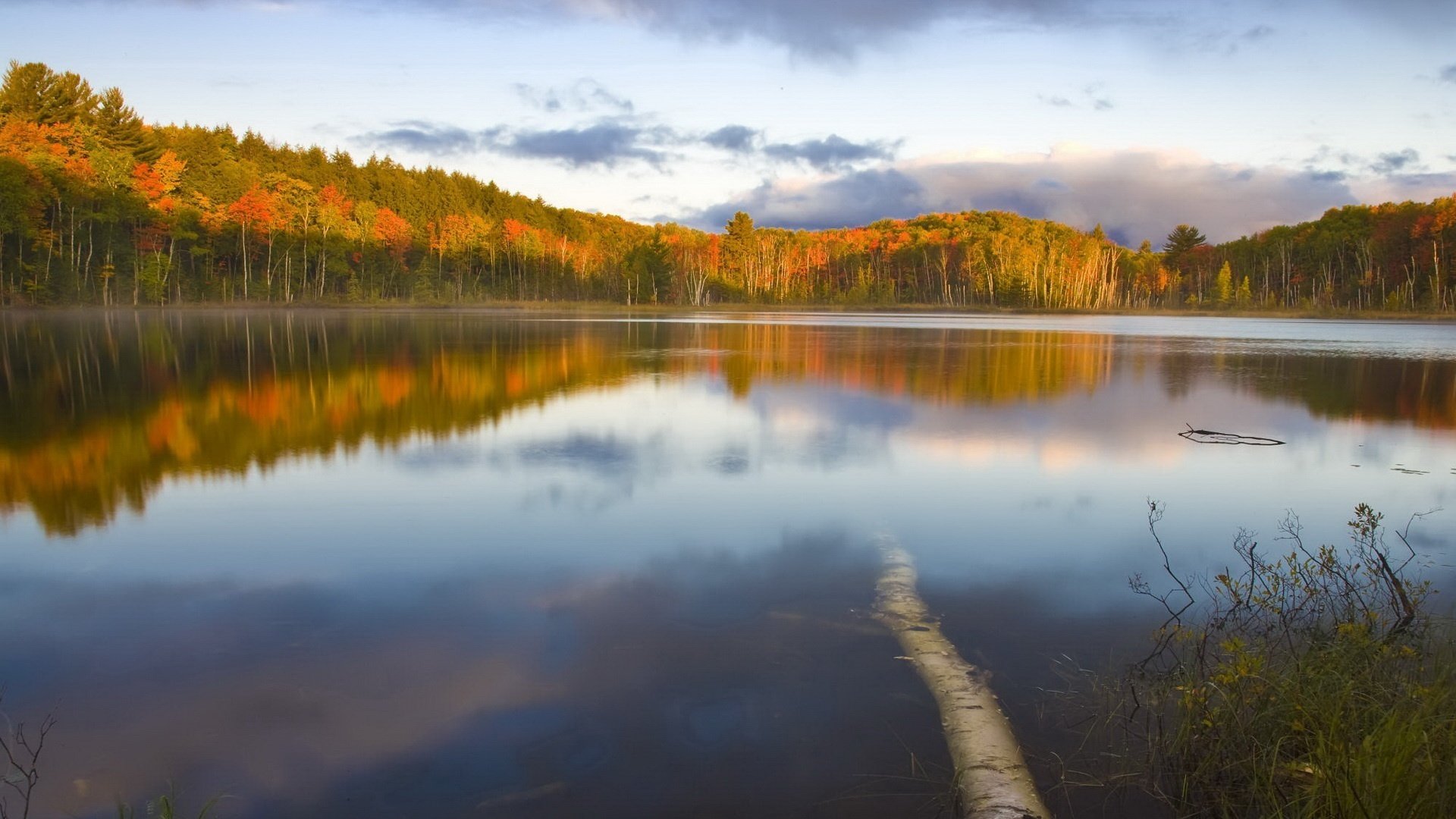 reflexión del bosque agua de cristal otoño agua lago paisaje colores brillantes superficie naturaleza hermosa vista