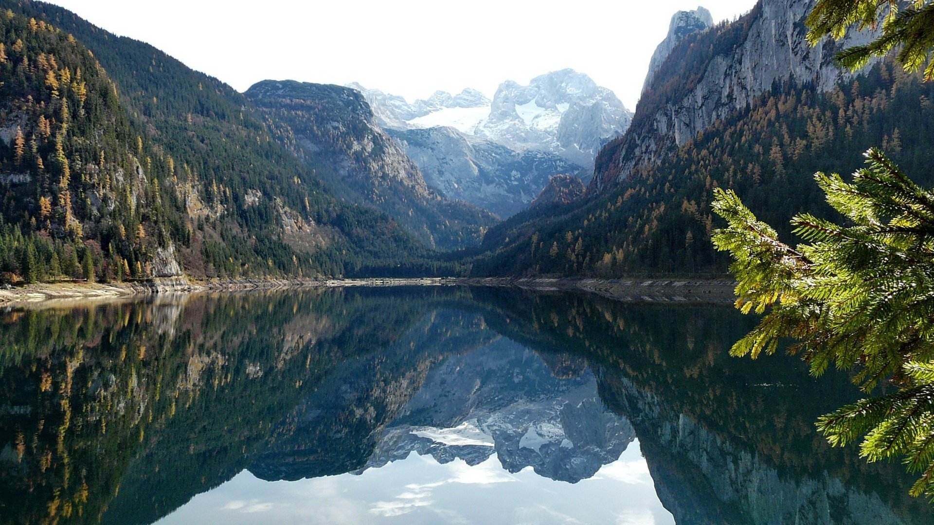 lago ai piedi delle montagne vetro montagne paesaggio riflessione vista ramo foresta alberi superficie liscia cielo