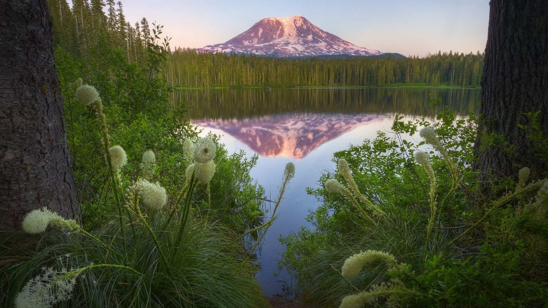 bellezza delle montagne erba di campo acqua di vetro montagne lago riflessione foresta verde vegetazione natura paesaggio