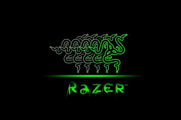 Razer Firmenlogo auf schwarzem Hintergrund