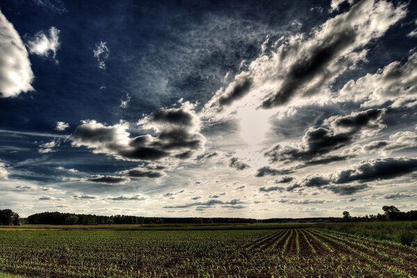 Außergewöhnliche Wolken über dem gepflügten Feld