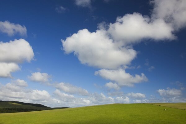 Schönes Feld mit Wolken