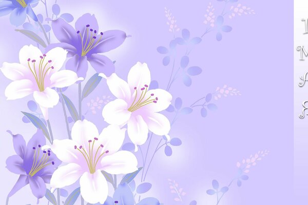 Purple and white flowers on a purple background