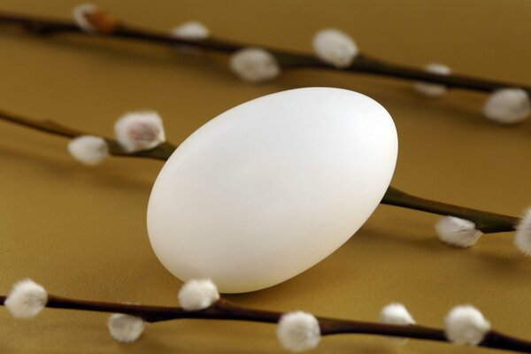 White egg and palm twigs