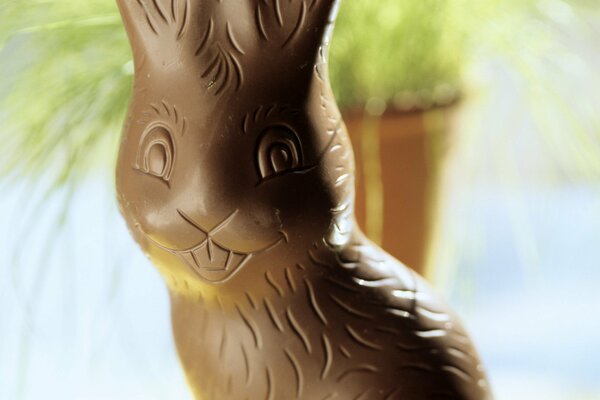 Lapin souriant de Pâques au chocolat