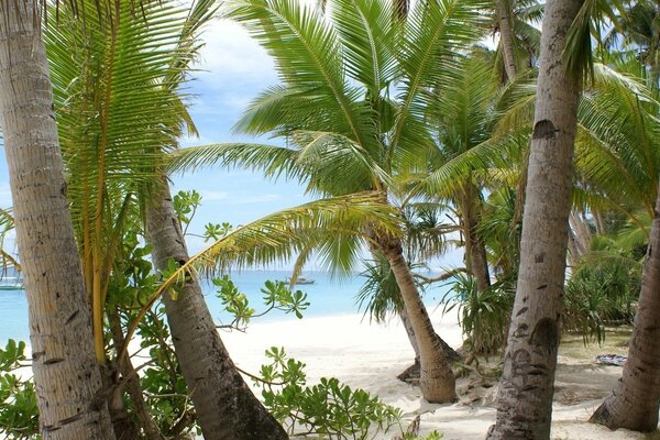 Coin de paradis sur la mer avec du sable blanc