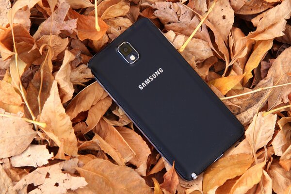 Samsung. Yellow autumn leaves