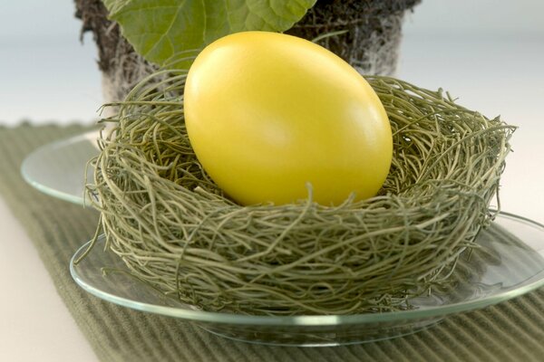 Nest with an Easter egg on a plate