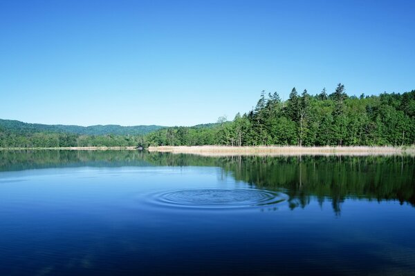 The mirrored surface of the lake broken by large circles on it