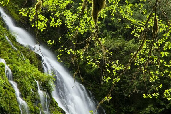 Po waterfall in the middle of the forest