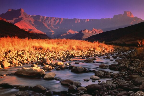 Mountain stream, rocks and grass in the golden light of sunset