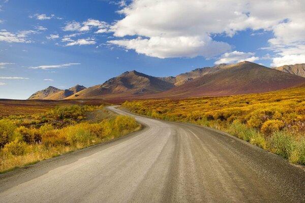 The road to the mountains. Golden shrubs