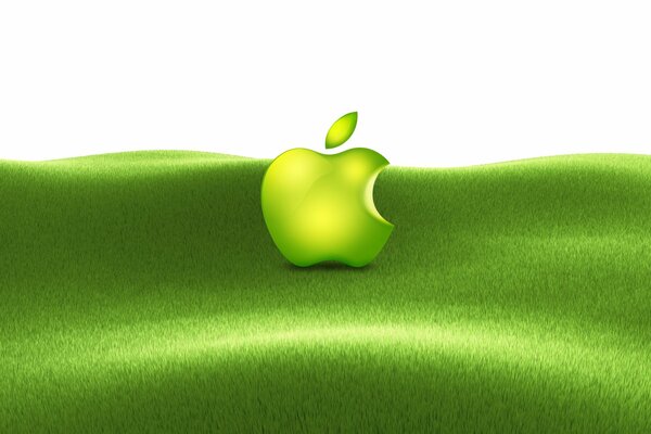 A bitten apple on the green grass