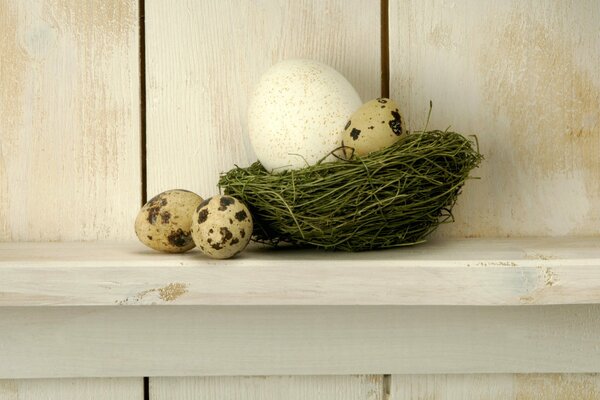 A nest of grass with eggs on a shelf