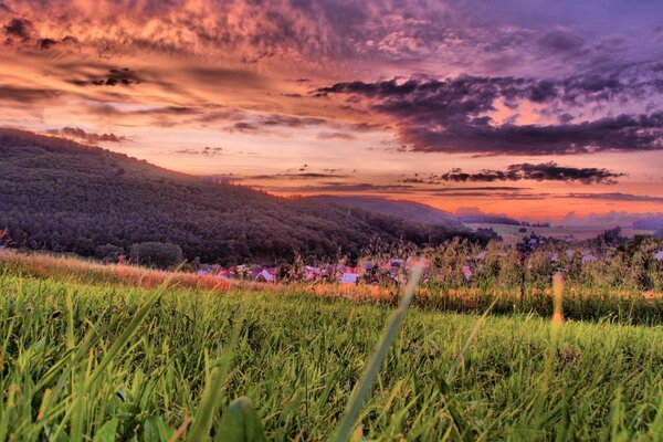 Hermoso cielo sobre el fondo de la hierba verde