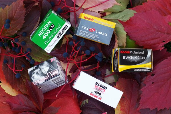 Packages with photographic film on crimson leaves with berries