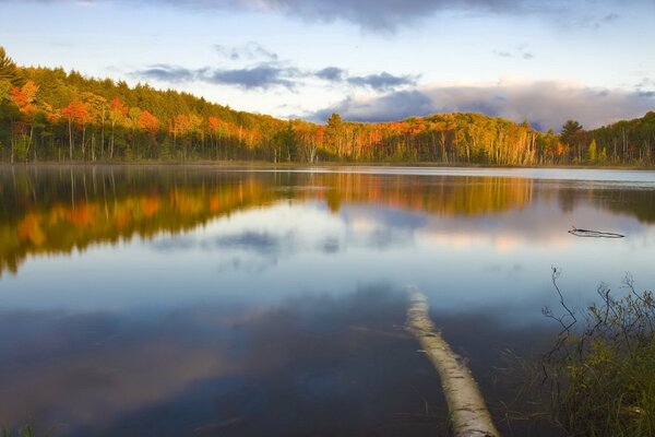 Lago tranquilo paisaje de otoño