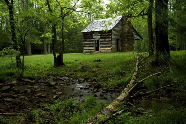 Holzhaus im Wald am Bach