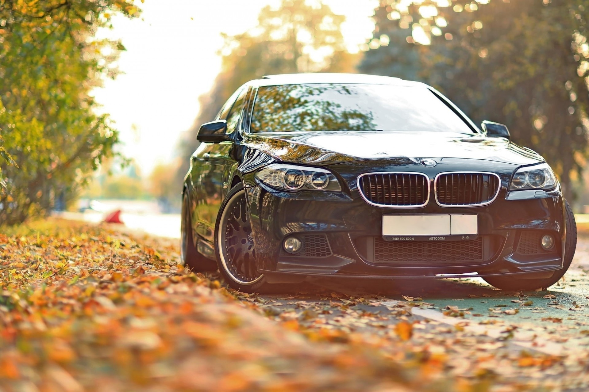 auto bmw räder