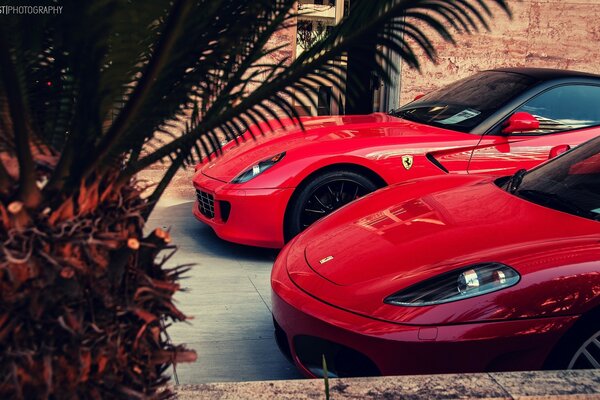 Coches rojos de ferrari en casa