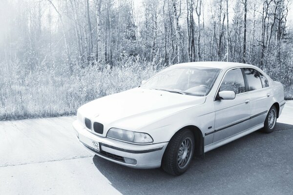 White car on a white landscape background