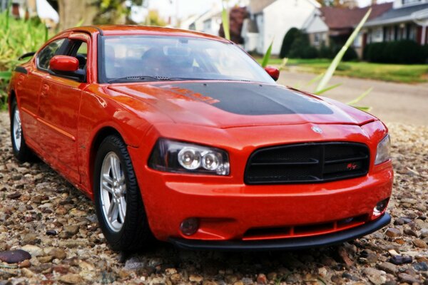 Parked red Dodge in the yard