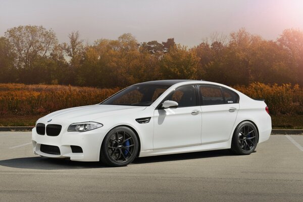 Snow-white BMW sports sedan on black wheels