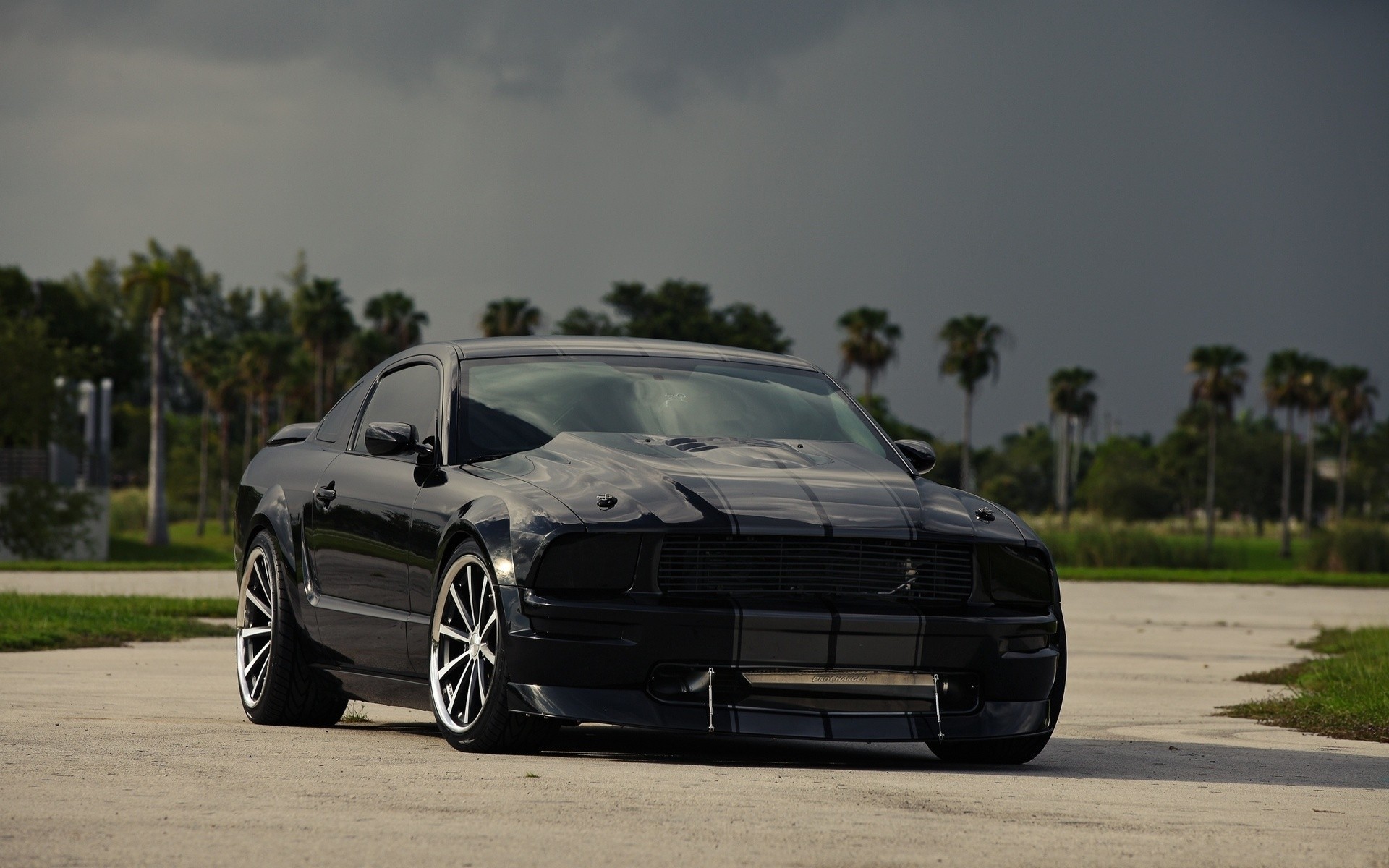 ford mustang black sky coloured