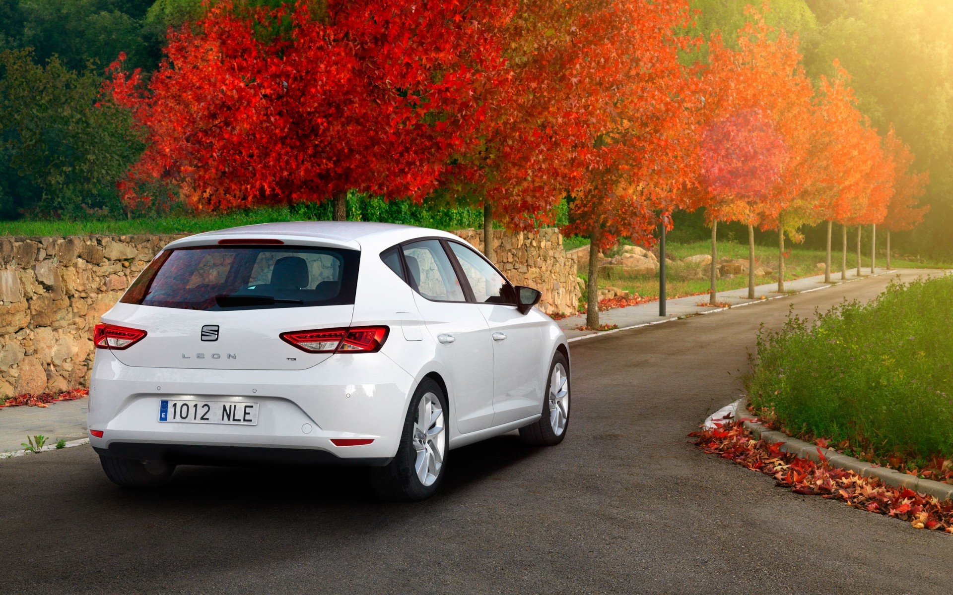 2012 seat leon