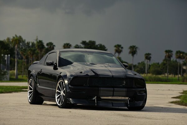 Black Ford Mustang on the road among the greenery