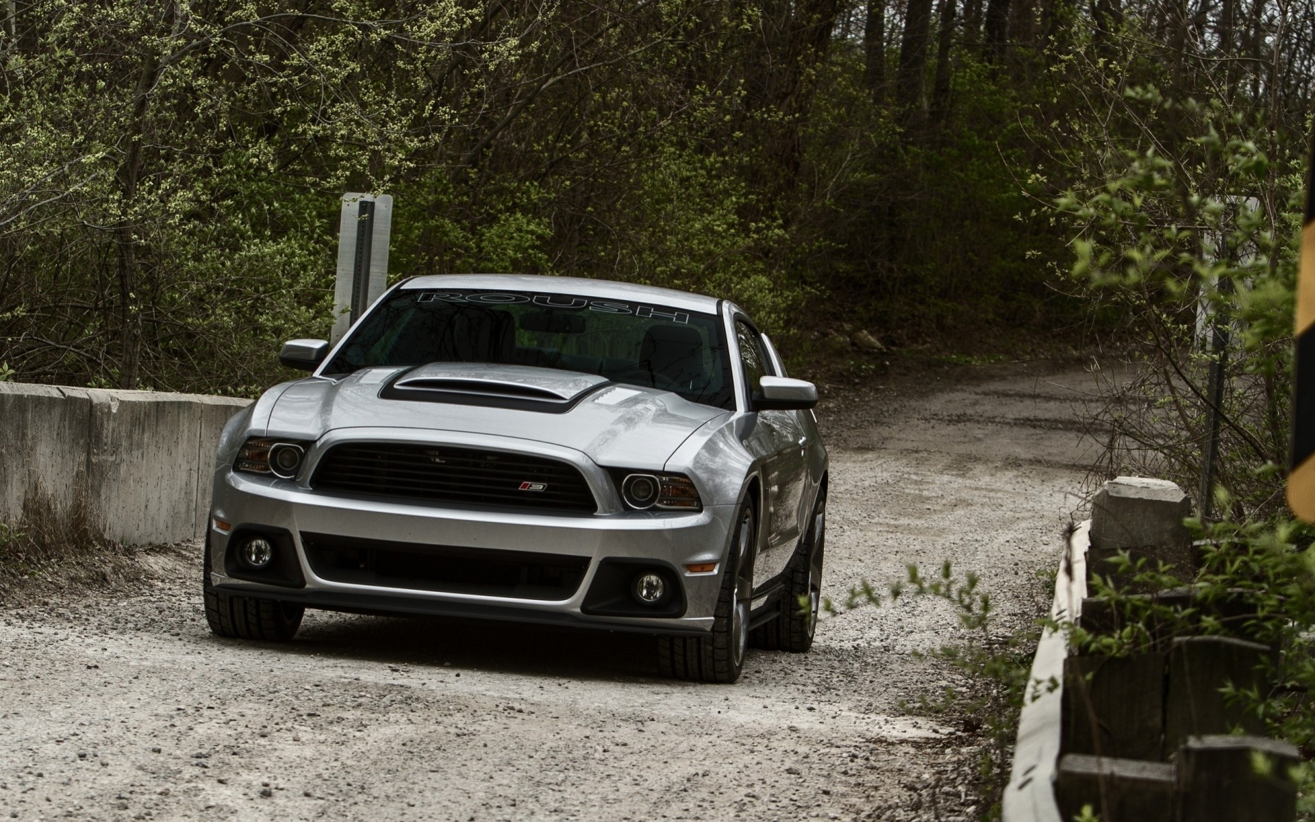 mustang road ford nature