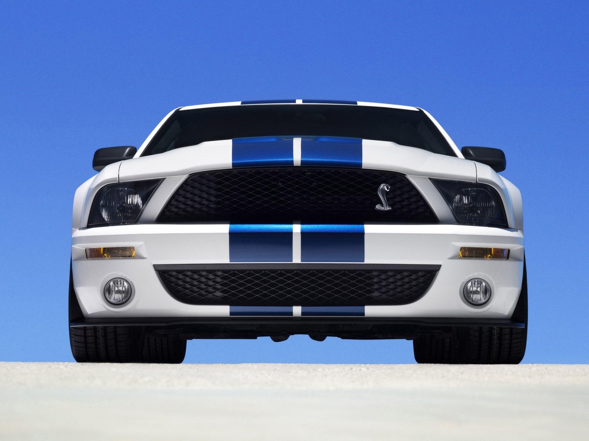 vista frontal ford shelby ford gt500 coches shelby