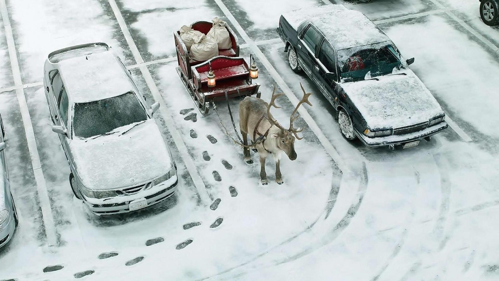 divertido nieve navidad humor trineo coches invierno reno