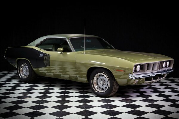 Light green barracuda, plymouth on the chess floor