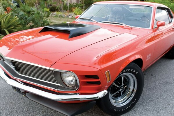 Red ford mustang coupe car